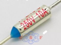 Fusível Térmico 165º 10 Ampêres 250V